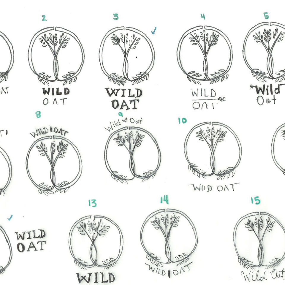 wild oat logo sketches
